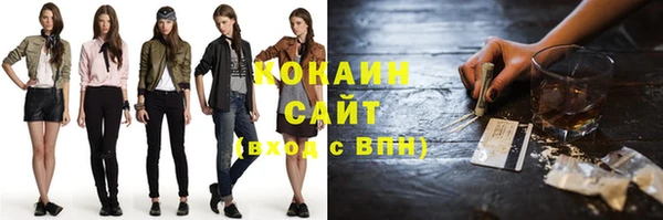 индика Карталы