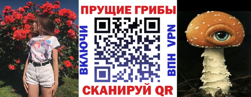 Галлюциногенные грибы MAGIC MUSHROOMS  Купить закладки  Бокситогорск 
