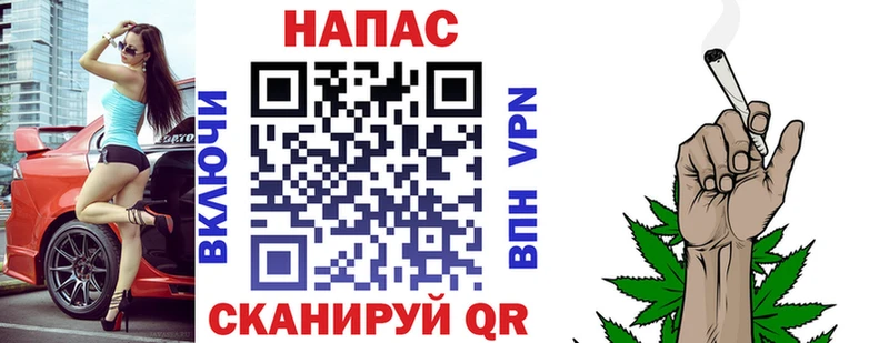 Бошки марихуана сатива  Купить закладки  Бокситогорск 
